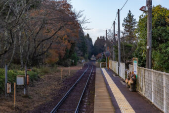 信楽高原鉄道信楽線・雲井駅（滋賀県：2025年11月）
