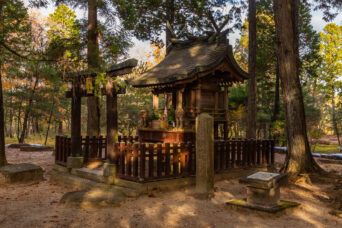 信楽高原鉄道信楽線・紫香楽宮跡駅付近・紫香楽宮跡（滋賀県：2025年11月）