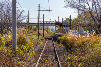 近江鉄道本線・朝日野駅（滋賀県：2025年11月）