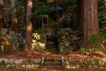 近江・彦根・武奈集落跡・若宮神社(滋賀県:2025年11月)