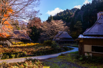近江・彦根・男鬼集落跡(滋賀県:2025年11月)