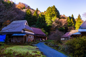 近江・彦根・男鬼集落跡(滋賀県:2025年11月)