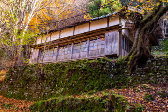 近江・多賀・今畑集落跡(滋賀県:2025年11月)