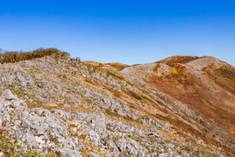 鈴鹿山地・霊仙山・南霊岳付近から望む霊仙山最高点(滋賀県:2025年11月)