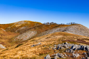 鈴鹿山地・霊仙山・霊仙山最高点(滋賀県:2025年11月)
