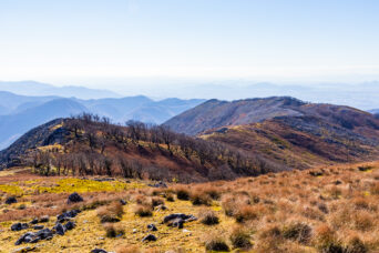 鈴鹿山地・霊仙山・霊仙山最高点から望む近江展望台方面(滋賀県:2025年11月)