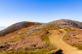 鈴鹿山地・霊仙山付近(滋賀県:2025年11月)