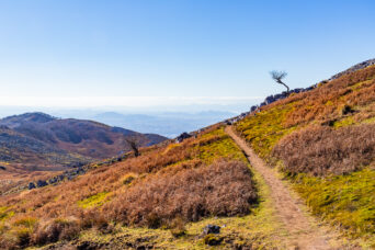 鈴鹿山地・霊仙山付近(滋賀県:2025年11月)