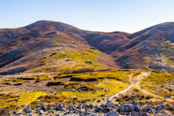 鈴鹿山地・霊仙山・経塚山から望む霊仙山最高点(滋賀県:2025年11月)