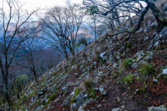 鈴鹿山地・霊仙山・五合目見晴台付近(滋賀県:2025年11月)