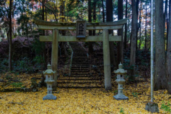鈴鹿山地・霊仙山・榑ヶ畑集落跡・八坂神社(滋賀県:2025年11月)
