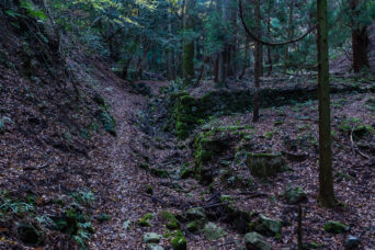 鈴鹿山地・霊仙山・榑ヶ畑集落跡(滋賀県:2025年11月)