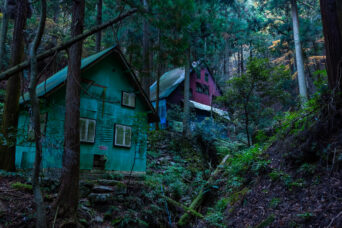 鈴鹿山地・霊仙山・榑ヶ畑集落跡(滋賀県:2025年11月)