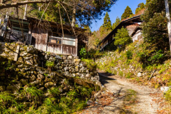 近江・多賀・入谷集落跡(滋賀県:2025年11月)