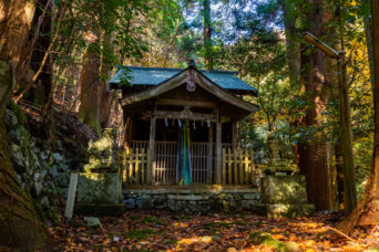 近江・多賀・入谷集落跡・谷神社(滋賀県:2025年11月)