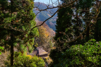 近江・多賀・入谷集落跡・了眼寺(滋賀県:2025年11月)