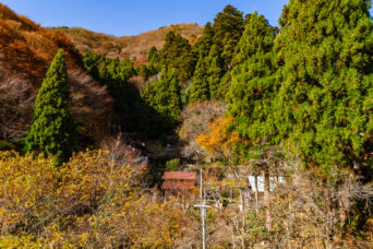 近江・多賀・入谷集落跡(滋賀県:2025年11月)