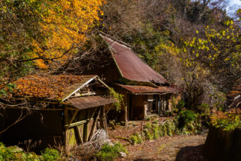 近江・多賀・甲頭倉集落跡(滋賀県:2025年11月)