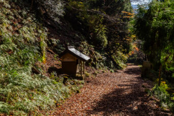 近江・多賀・甲頭倉集落跡(滋賀県:2025年11月)