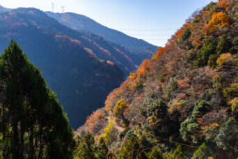 近江・多賀・甲頭倉集落跡(滋賀県:2025年11月)