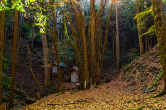 近江・多賀・向之倉集落跡・井戸神社(滋賀県:2025年11月)