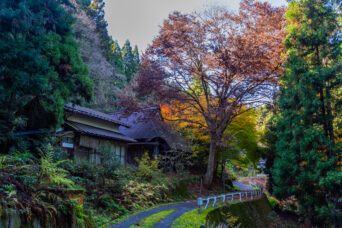 近江・多賀・桃原集落跡(滋賀県:2025年11月)
