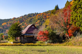 近江・多賀・栗栖集落(滋賀県:2025年11月)