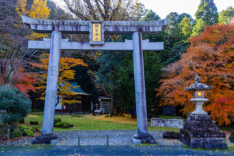 近江・多賀・栗栖集落・調宮神社(滋賀県:2025年11月)