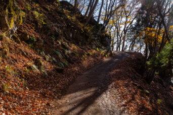 近江・多賀・杉坂峠(滋賀県:2025年11月)