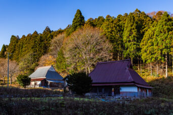 近江・多賀・保月集落跡(滋賀県:2025年11月)
