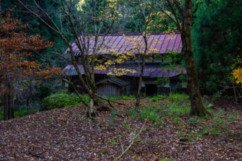 近江・多賀・五僧集落跡(滋賀県:2025年11月)