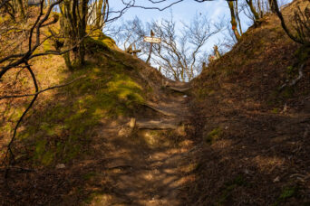 鈴鹿山地・鞍掛峠（三重県・滋賀県：2025年12月）