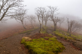 鈴鹿山地・鈴北岳付近（三重県・滋賀県：2025年12月）