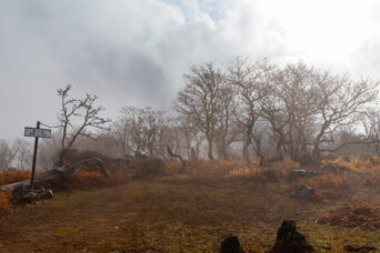 鈴鹿山地・鈴ヶ岳（滋賀県・三重県：2025年12月）