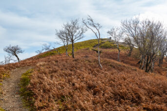 鈴鹿山地・鈴北岳（滋賀県・三重県：2025年12月）