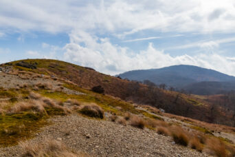 鈴鹿山地・鈴北岳から望む御池岳（滋賀県・三重県：2025年12月）