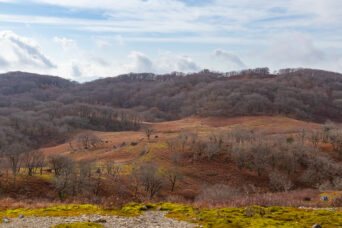 鈴鹿山地・鈴北岳から望む日本庭園（滋賀県・三重県：2025年12月）