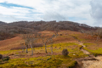 鈴鹿山地・御池岳付近・日本庭園（滋賀県・三重県：2025年12月）