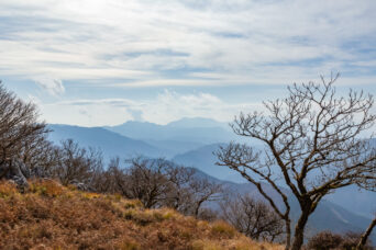 鈴鹿山地・御池岳付近・西ボタンブチ付近から望む御在所岳方面（滋賀県・三重県：2025年12月）