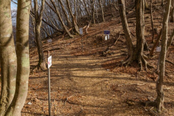 鈴鹿山地・白瀬峠（滋賀県・三重県：2025年12月）