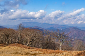 鈴鹿山地・頭陀ヶ平から望む霊仙山（滋賀県・三重県：2025年12月）