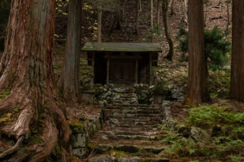 鈴鹿山地・茨川集落跡・天照神社（滋賀県：2025年12月）