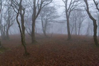 鈴鹿山地・土倉岳（滋賀県：2025年12月）