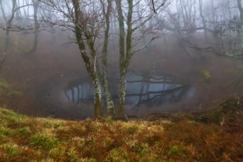 鈴鹿山地・御池岳付近・幸助の池（滋賀県：2025年12月）