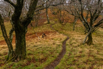 鈴鹿山地・御池岳付近（滋賀県：2025年12月）