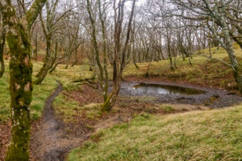 鈴鹿山地・御池岳付近・南池（滋賀県：2025年12月）