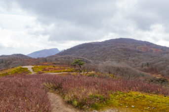 鈴鹿山地・鈴北岳から望む御池岳（滋賀県・三重県：2025年12月）