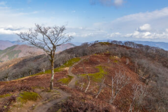 鈴鹿山地・鈴北岳付近(滋賀県・三重県:2025年12月)