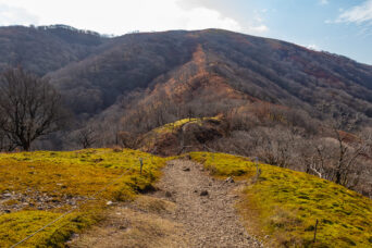 鈴鹿山地・鈴北岳付近(滋賀県・三重県:2025年12月)