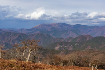 鈴鹿山地・鈴北岳付近から望む霊仙山(滋賀県・三重県:2025年12月)